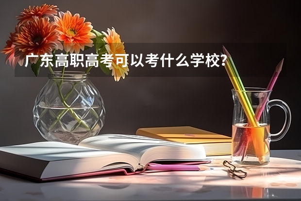 广东高职高考可以考什么学校？