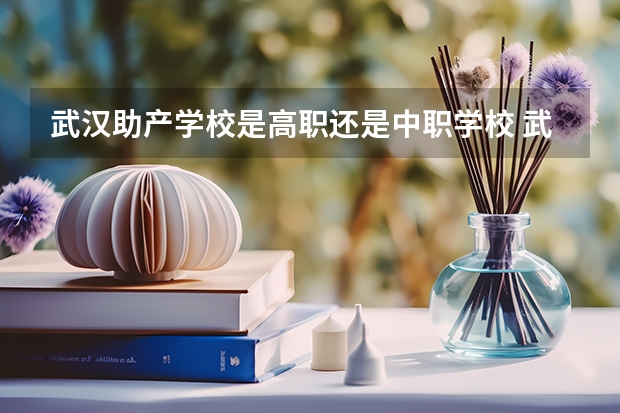 武汉助产学校是高职还是中职学校 武汉助产学校好不好考