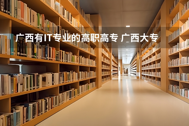 广西有IT专业的高职高专 广西大专的学校有哪些