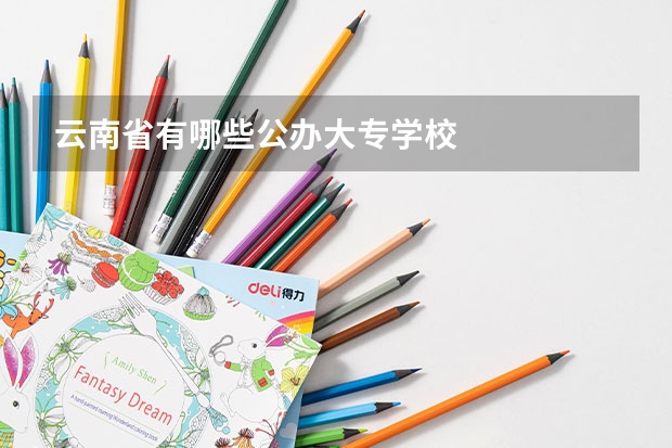 云南省有哪些公办大专学校