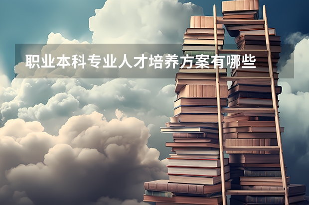 职业本科专业人才培养方案有哪些