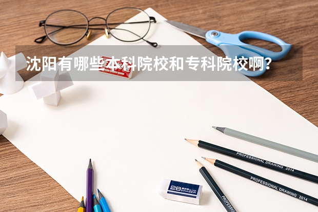 沈阳有哪些本科院校和专科院校啊?