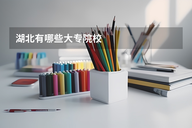 湖北有哪些大专院校