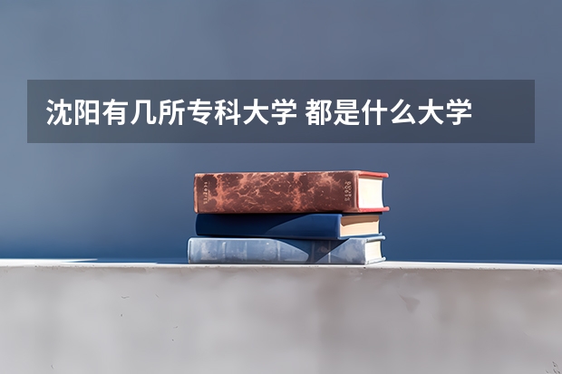 沈阳有几所专科大学 都是什么大学