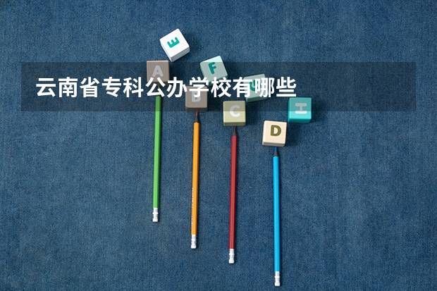 云南省专科公办学校有哪些