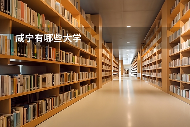 咸宁有哪些大学