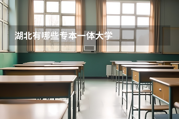 湖北有哪些专本一体大学