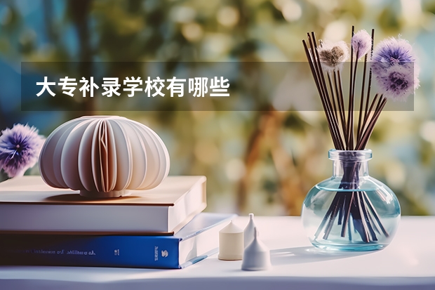大专补录学校有哪些