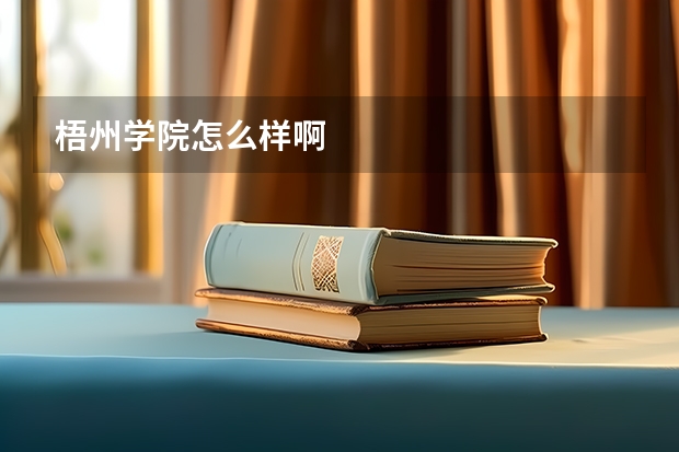 梧州学院怎么样啊