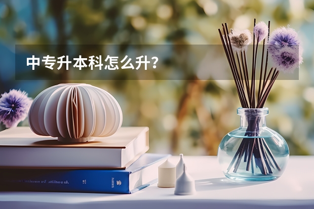 中专升本科怎么升？